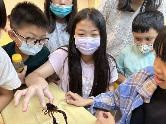 AnyConv.com__昆蟲4