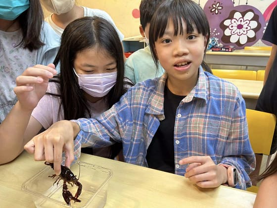 AnyConv.com__昆蟲3